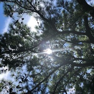 Meet your Posher, Martinee